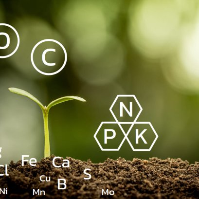 ธาตุอาหารของพืช Plant nutrition.
