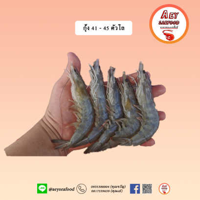 กุ้งขาว 41 - 45 ตัวโล