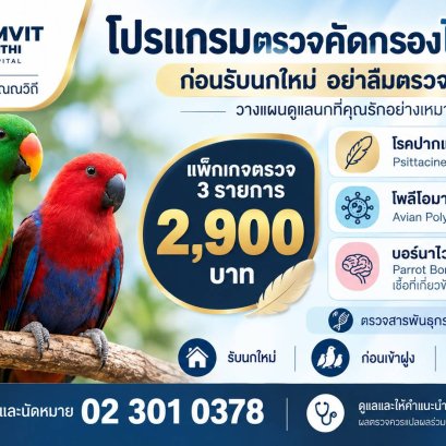 โปรแกรมตรวจไวรัส 3 โรคในนก