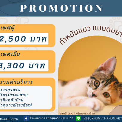 ทำหมันสัตว์เลี้ยง