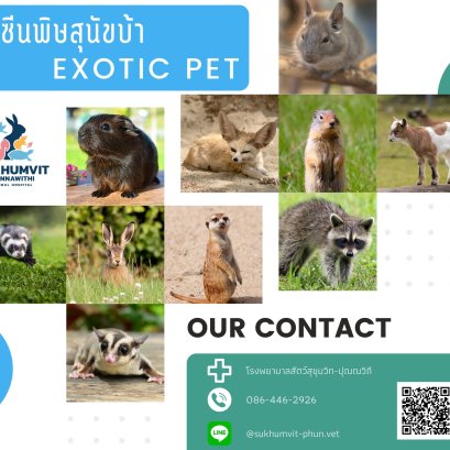 วัคซีนพิษสุนัขบ้าในสัตว์พิเศษ