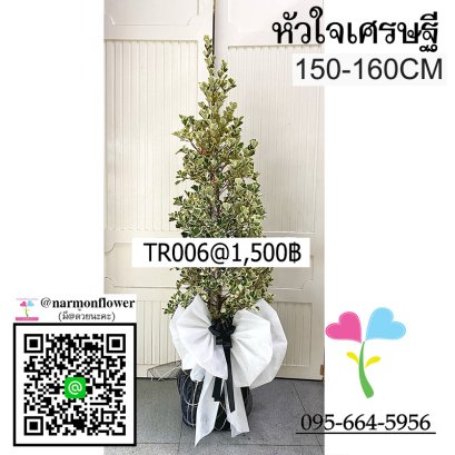 พวงหรีดต้นไม้(หัวใจเศรษฐี) TR006