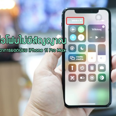 พบปัญหาไอโฟน iPhone 11, iPhone 11Pro, iPhone 11Pro Max เสียอาการไม่มีสัญญาณกันเยอะ ถือว่าเป็นอาการยอดนิยมเลยทีเดียว
