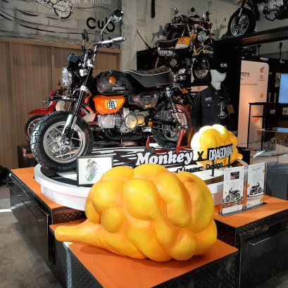 Monkey Dragon Ball Limited Edition  