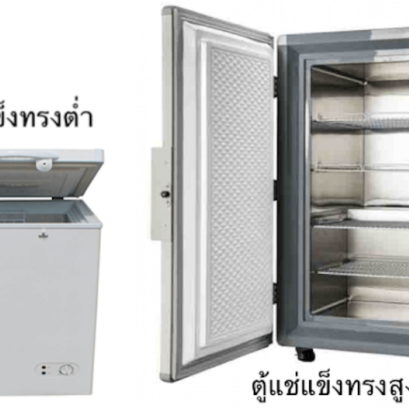 ตู้แช่แข็งคืออะไร