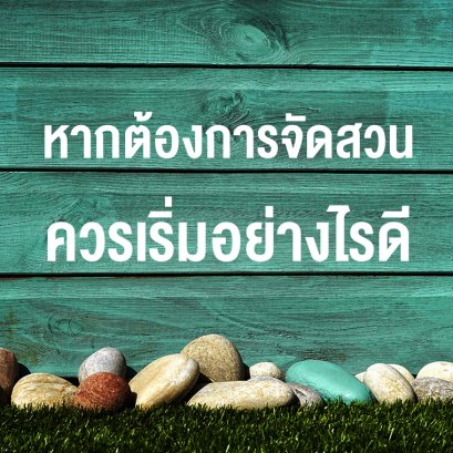 How to plan a garden