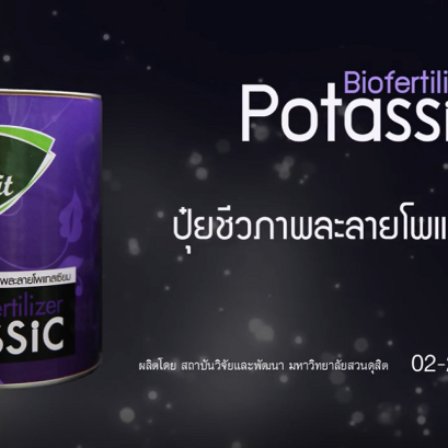 ปุ๋ยชีวภาพละลายโพแทสเซียม