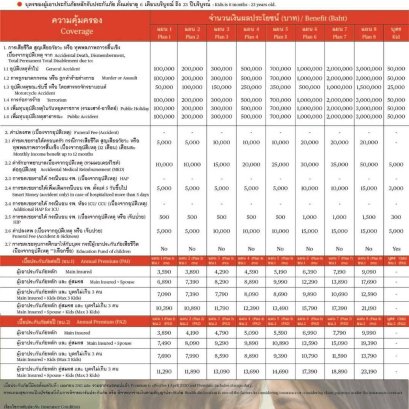 ประกันอุบัติเหตุ CHUBB PA Series