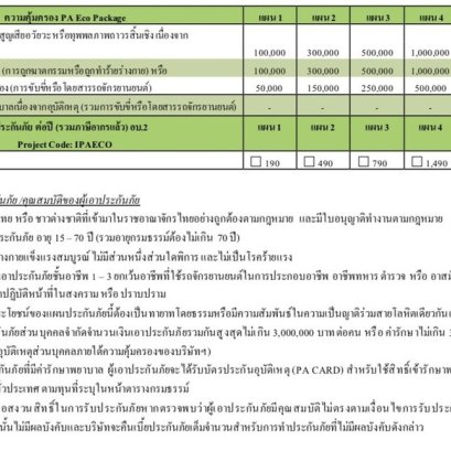ประกันอุบัติเหตุบริษัทชับบ์สามัคคีประกันภัยราคาประหยัด,PA Eco Package,