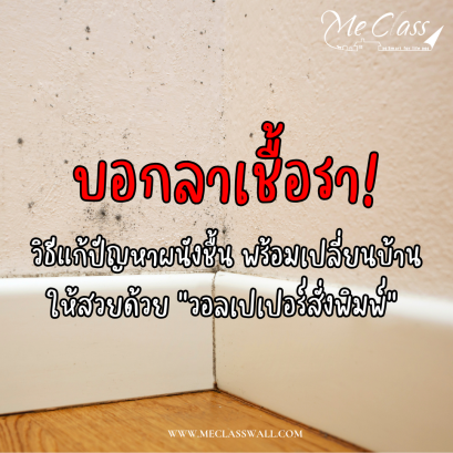 บอกลาเชื้อรา! วิธีแก้ปัญหาผนังชื้น พร้อมเปลี่ยนบ้านให้สวยด้วย "วอลเปเปอร์สั่งพิมพ์" จากร้านวอลเปเปอร์มืออาชีพ