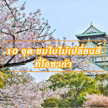 10 จุด ชมใบไม้เปลี่ยนสีที่โอซาก้า