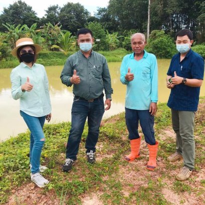 เมื่อวันที่ 21 กรกฎาคม 2564 สหกรณ์การเกษตรท่าบ่อ จำกัด 