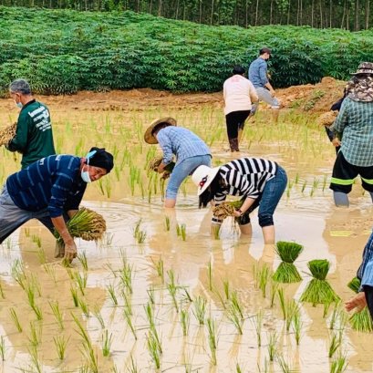 เมื่อวันที่ 26 กรกฎาคม 2564 สหกรณ์การเกษตรท่าบ่อ จำกัด