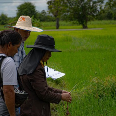 เมื่อวันที่ 16 กรกฎาคม 2564 สหกรณ์การเกษตรท่าบ่อ จำกัด