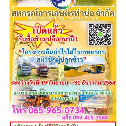 เปิดแล้ว❗️รับซื้อข้าวเปลือกนาปี✅ ระหว่างวันที่ 19 ก.ย - 31 ธ.ค  ติดต่อสอบถามโทร 065-965-0734  หรือ 093-415-1588