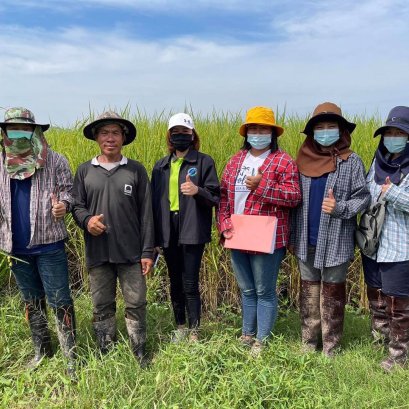 เมื่อวันที่  27-28 ตุลาคม 2564 สหกรณ์การเกษตรท่าบ่อ จำกัด ลงพื้นที่ติดตามงานโครงการส่งเสริมอาชีพสมาชิกเมล็ดพันธุ์ข้าวและศูนย์ข้าวชุมชน