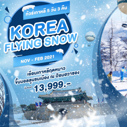 ทัวร์เกาหลี WE93 Korea Flying Snow EASTARJET JEJU AIR JIN AIR T’WAY 