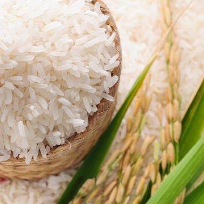 สารสกัด ข้าวหอมมะลิไทย