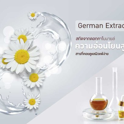 German Chamomile Extract, Matricaria recutita Extract﻿ 