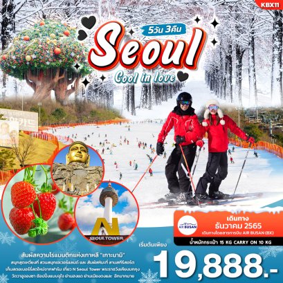 Seoul Cool in Love ♥ ทัวร์เกาหลี 5วัน 3คืน