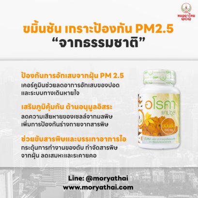ขมิ้นชัน สมุนไพรต้านฝุ่น PM2.5 ปกป้องร่างกายจากมลพิษทางอากาศ