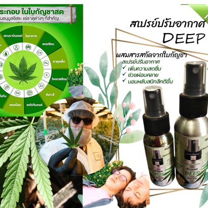 14 ข้อ ประโยชน์ "กัญชา" สรรพคุณล้น