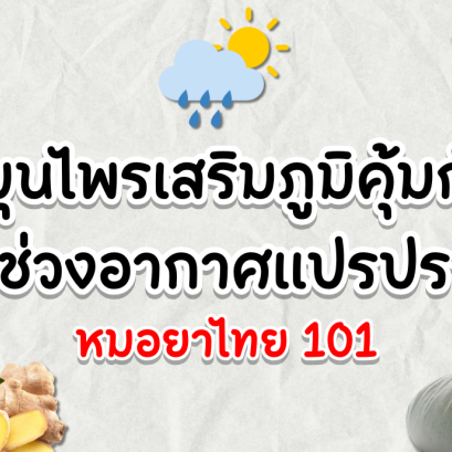 5 สมุนไพรไทยที่ช่วยเสริมภูมิคุ้มกันในช่วงอากาศแปรปรวน
