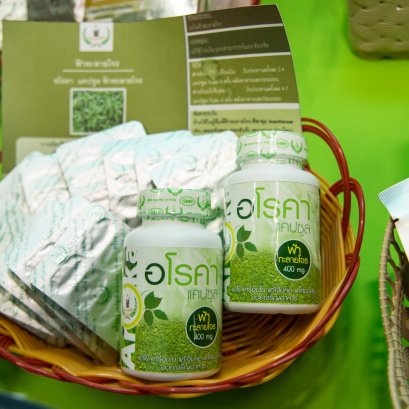 ข้อเสนอกินฟ้าทะลายโจร “พร้อมกัน”ทุกสถานที่ซึ่งมีการติดเชื้อ เพื่อ “บำบัดรวมหมู่” / ปานเทพ พัวพงษ์พันธ์  เนื่องสถานการณ์โรคโควิด-19 ได้แพร่ระบาดไปอย่างกว้างขวาง จนไม่สามารถจะมีน้ำยาในการตรวจเชื้อโควิด-19 ได้ครอบคลุมจำนวนผู้ป่วยได้ แม้แต่ในกรุงเทพมหานครก็เร