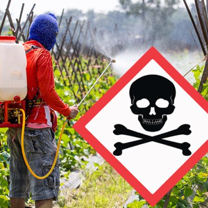 ผลกระทบของสารกำจัดศัตรูพืชวายร้าย