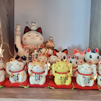 Update สินค้าเข้าใหม่ค่าา