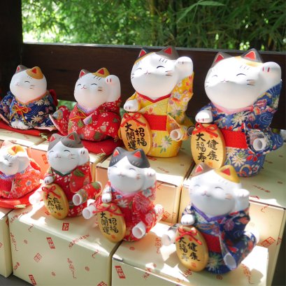 UPDATE ! แมวกวักจากญี่ปุ่น  (=´∇｀=) สินค้าเข้าใหม่ล่าสุด  