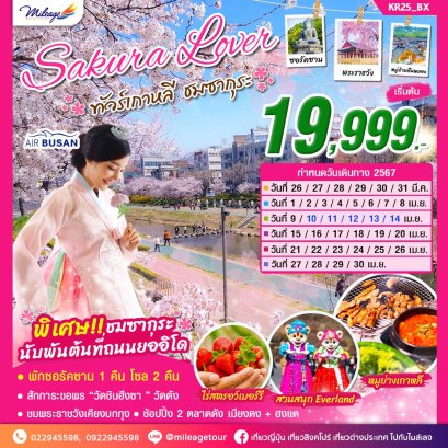 SAKURA LOVER ทัวร์เกาหลี ชมซากุระ 5 วัน 3 คืน  โดยสายการบิน แอร์ปูซาน ราคาเริ่มต้น THB 19999.-