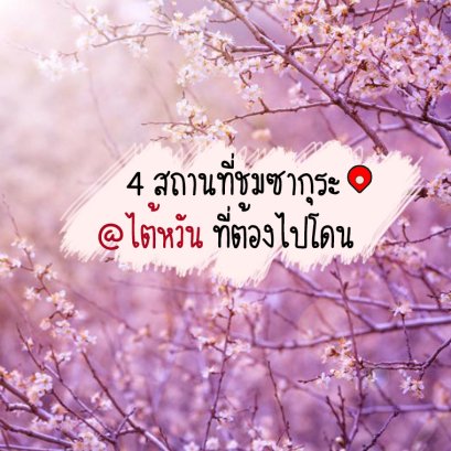 4 สถานที่ชมซากุระ ในไต้หวันที่ต้องไปโดนน