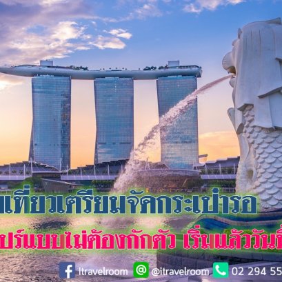 สายเที่ยวเตรียมจัดกระเป๋ารอ เข้าสิงคโปร์แบบไม่ต้องกักตัว เริ่มแล้ววันนี้