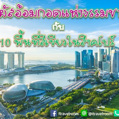 สัมผัสอ้อมกอดแห่งธรรมชาติ กับ 10 พื้นที่สีเขียวในสิงคโปร์