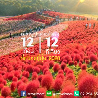 12 เดือน 12 ที่เที่ยว ตลอดปี 2020 เที่ยวญี่ปุ่นด้วยตัวเอง ครื้นเครงอย่าบอกใคร!