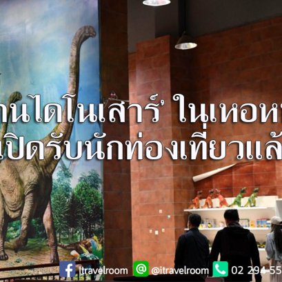 นักท่องเที่ยวเดินชม ‘อุทยานไดโนเสาร์’ ในเหอหนาน