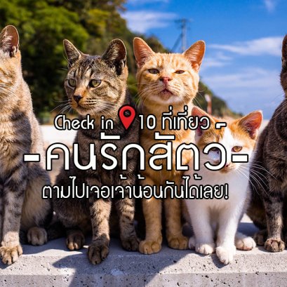 เช็คอิน 10 ที่เที่ยวสำหรับคนรักสัตว์ ตามไปเจอเจ้าน้อนกันได้เลย!