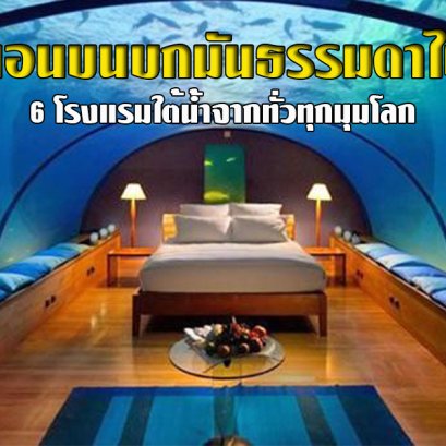 6 โรงแรมใต้น้ำ จากทั่วทุกมุมโลก นอนไปมองฝูงปลาไปฟินๆ