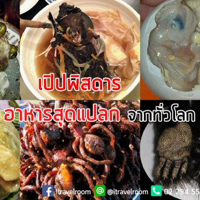 เปิปพิสดาร 20 อาหารสุดแปลกจากทั่วโลก