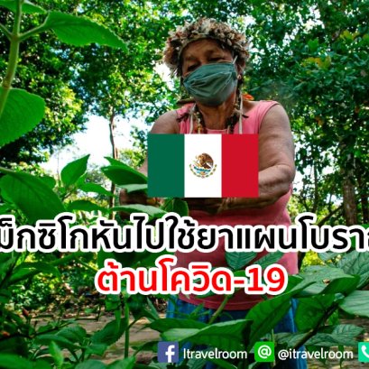 เม็กซิโกหันไปใช้ยาแผนโบราณต้านโควิด-19