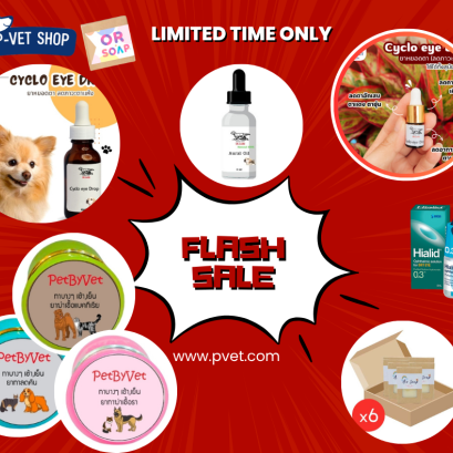 flash sale 2ชิ้นขึ้นไปส่งฟรี