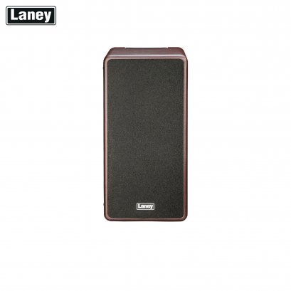 Laney A-Duo Acoustic Amplifier