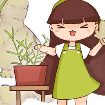 泰国天儿热 多吃姜好处多多