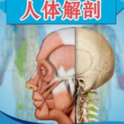 最早的人体解剖学图谱