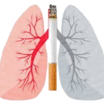 烟草与疾病的最早记载