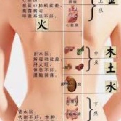 女性养生先养背