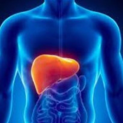 肝，你好吗?