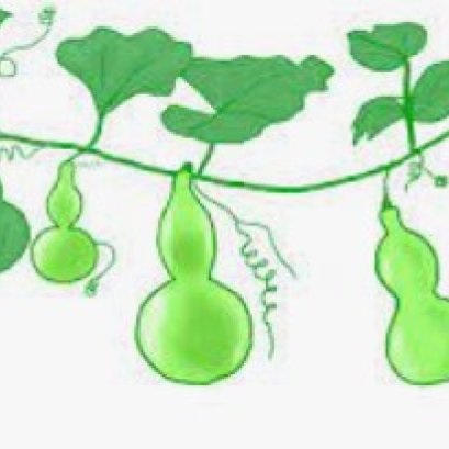 葫芦--中医的图腾之一