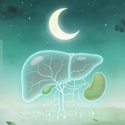 凌晨1点到3点： 肝脏黄金时间的中医与现代科学解读
